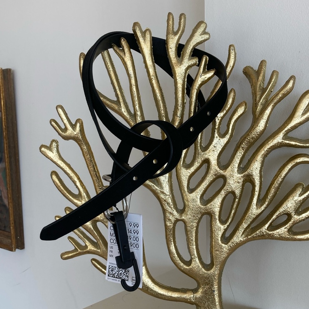 NWT Belt H & M